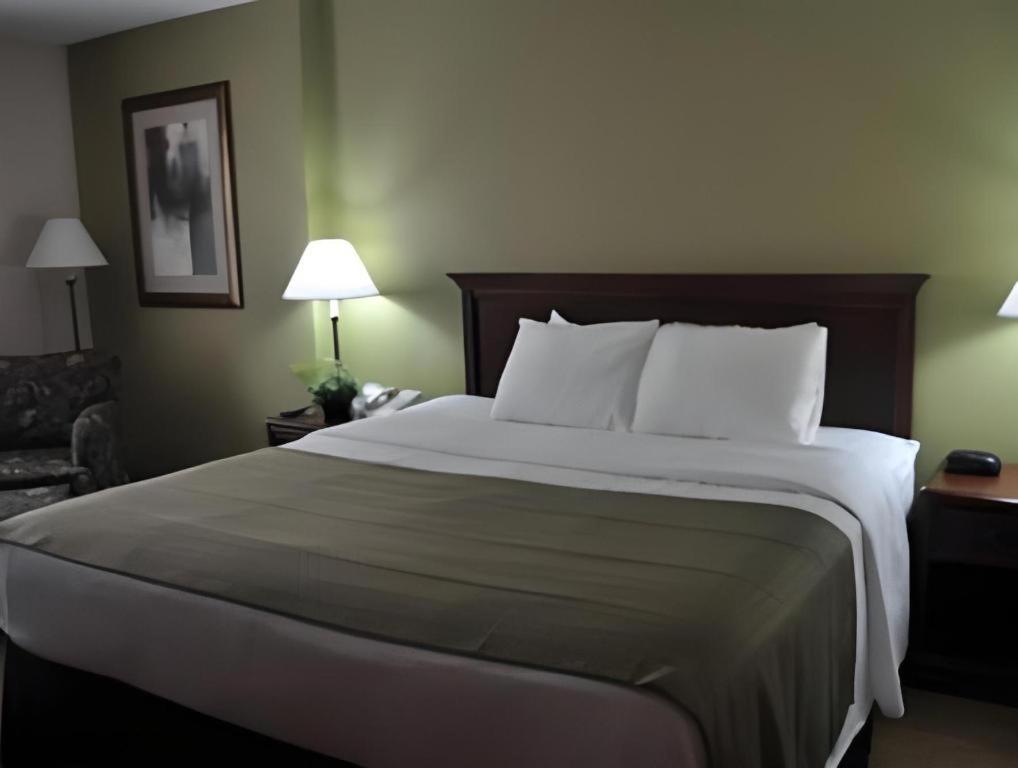 Garden Plaza Hotel 새들브룩 외부 사진